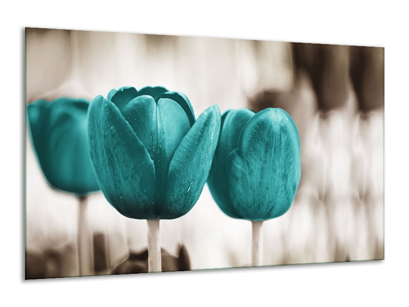 Glasschilderij Tulpen, Bloemen | Turquoise, Sepia | 120x70cm 1Luik