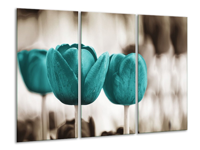 Canvas Schilderij Tulpen, Bloemen | Turquoise, Sepia | 120x80cm 3Luik