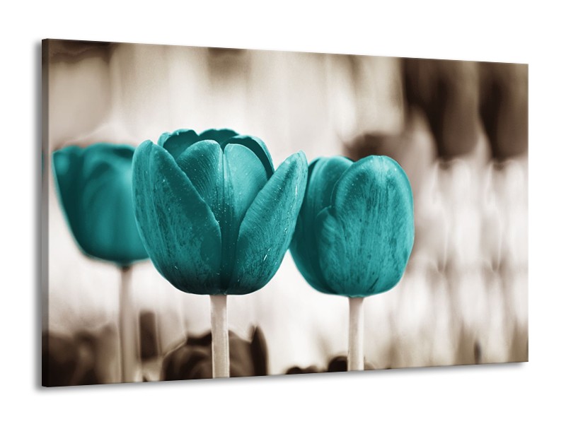 Canvas Schilderij Tulpen, Bloemen | Turquoise, Sepia | 140x90cm 1Luik