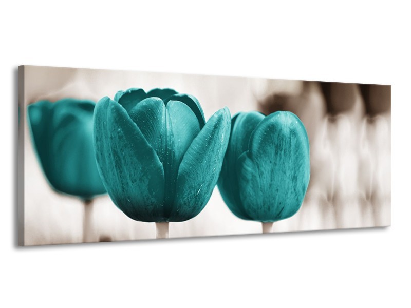 Glasschilderij Tulpen, Bloemen | Turquoise, Sepia | 145x58cm 1Luik