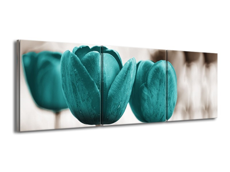 Canvas Schilderij Tulpen, Bloemen | Turquoise, Sepia | 150x50cm 3Luik