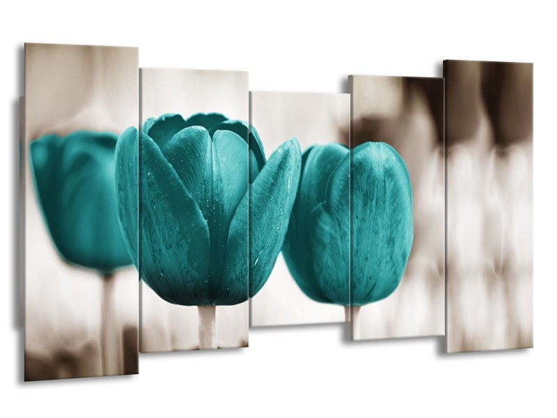 Canvas Schilderij Tulpen, Bloemen | Turquoise, Sepia | 150x80cm 5Luik