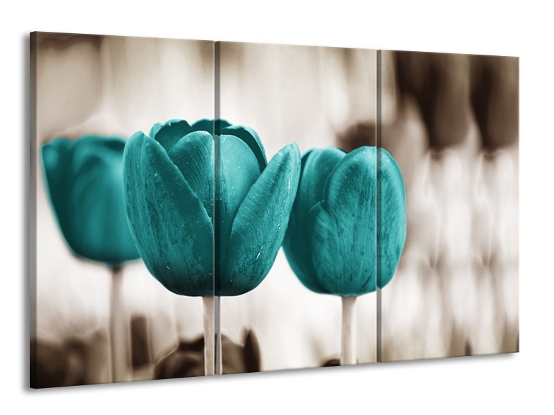 Canvas Schilderij Tulpen, Bloemen | Turquoise, Sepia | 165x100cm 3Luik