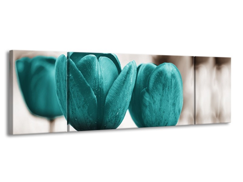 Glasschilderij Tulpen, Bloemen | Turquoise, Sepia | 170x50cm 3Luik