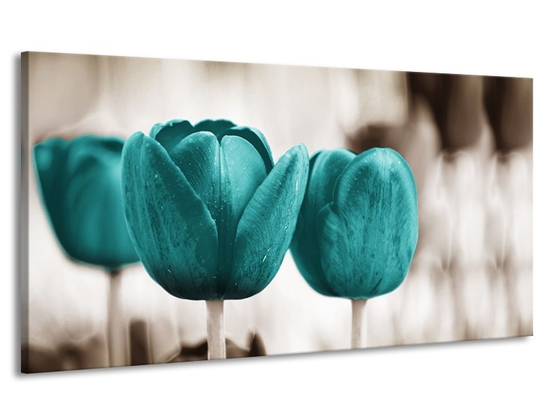 Canvas Schilderij Tulpen, Bloemen | Turquoise, Sepia | 170x90cm 1Luik