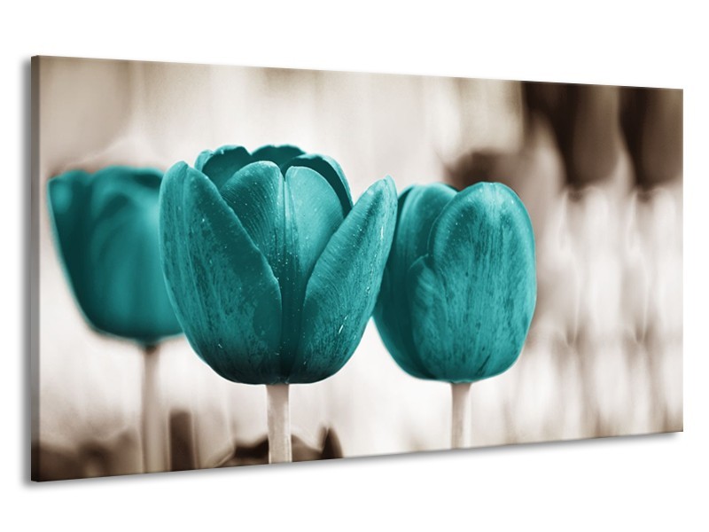 Canvas Schilderij Tulpen, Bloemen | Turquoise, Sepia | 190x100cm 1Luik