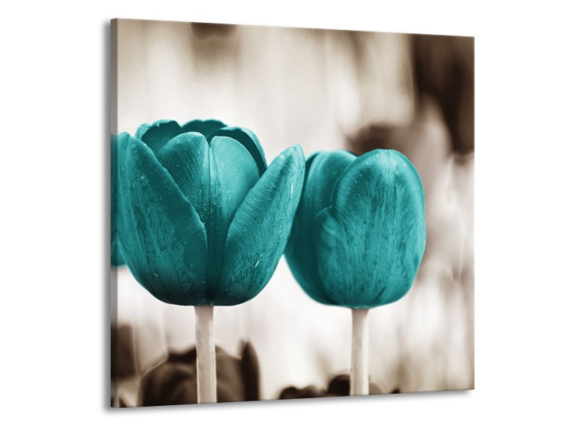Canvas Schilderij Tulpen, Bloemen | Turquoise, Sepia | 50x50cm 1Luik