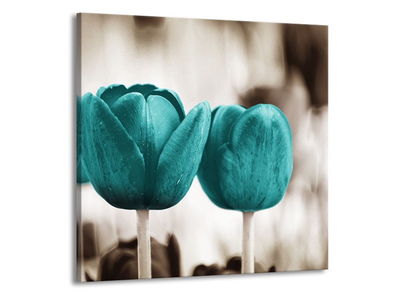 Canvas Schilderij Tulpen, Bloemen | Turquoise, Sepia | 70x70cm 1Luik