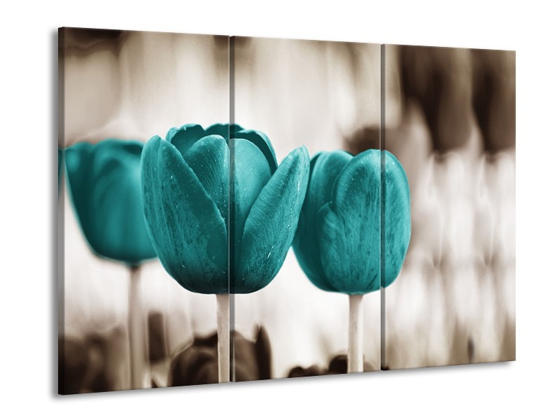 Canvas Schilderij Tulpen, Bloemen | Turquoise, Sepia | 60x90cm 3Luik