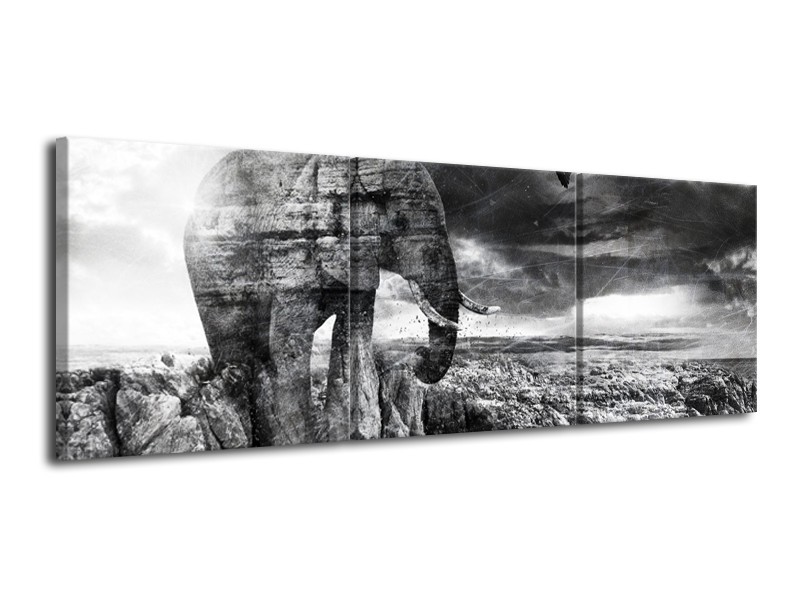 Glasschilderij Modern, Olifant | Zwart, Wit, Grijs | 120x40cm 3Luik