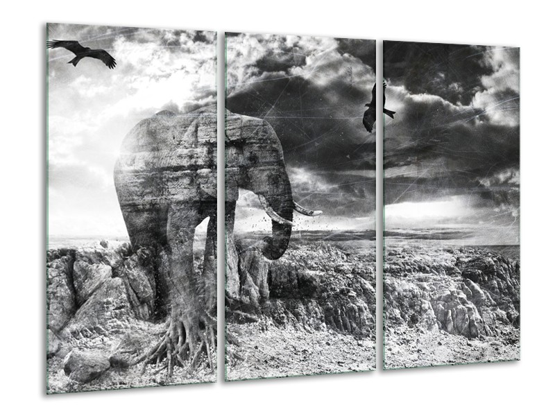 Glasschilderij Modern, Olifant | Zwart, Wit, Grijs | 120x80cm 3Luik