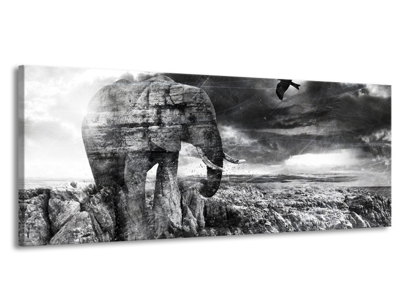 Glasschilderij Modern, Olifant | Zwart, Wit, Grijs | 145x58cm 1Luik