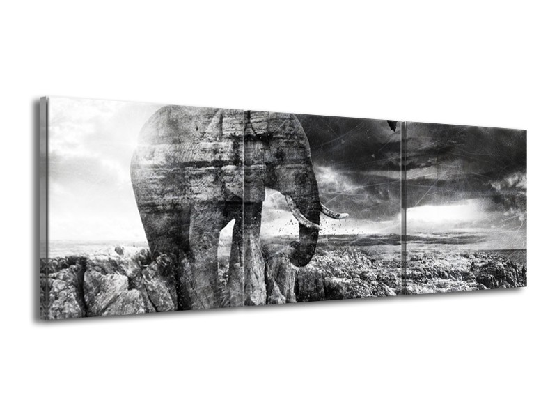 Canvas Schilderij Modern, Olifant | Zwart, Wit, Grijs | 150x50cm 3Luik