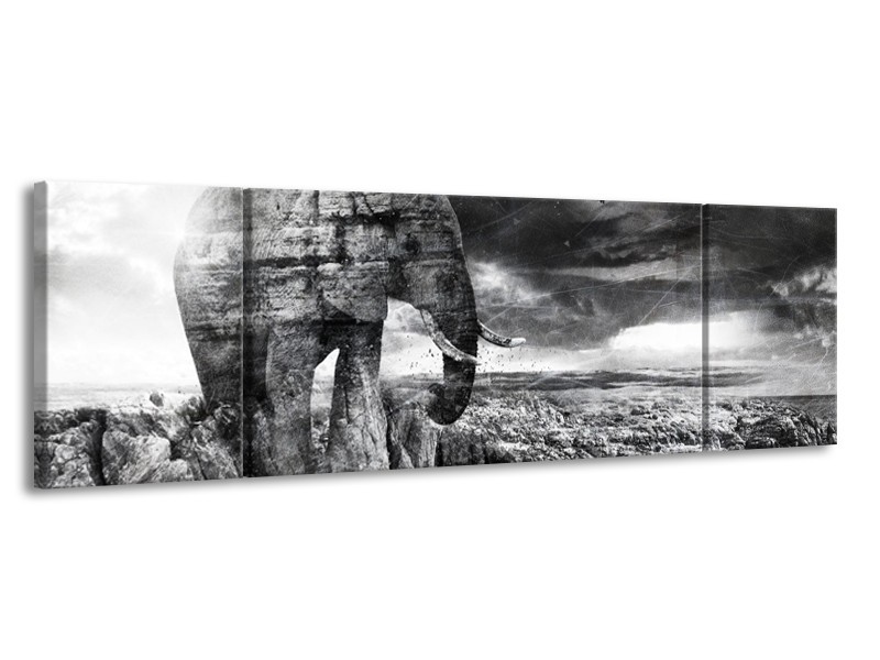 Canvas Schilderij Modern, Olifant | Zwart, Wit, Grijs | 170x50cm 3Luik