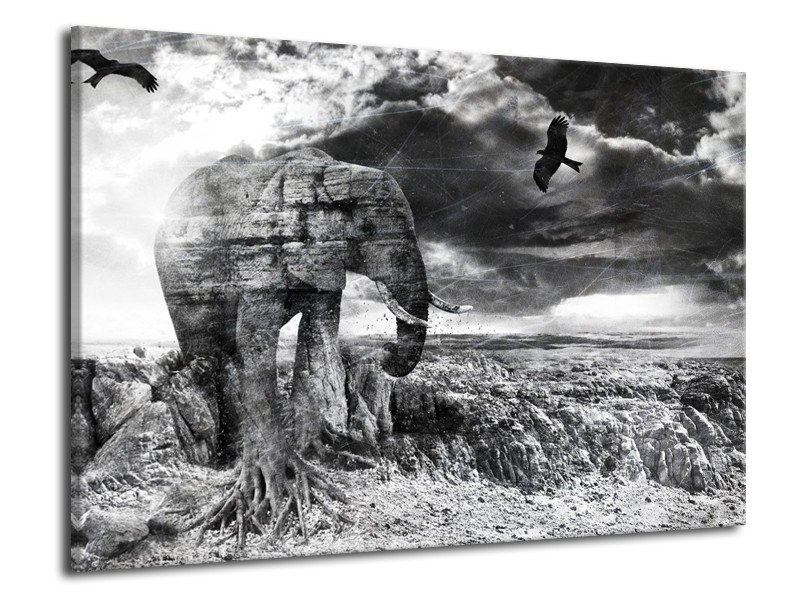 Canvas Schilderij Modern, Olifant | Zwart, Wit, Grijs | 70x50cm 1Luik