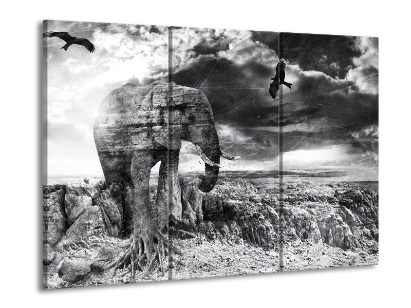 Canvas Schilderij Modern, Olifant | Zwart, Wit, Grijs | 60x90cm 3Luik