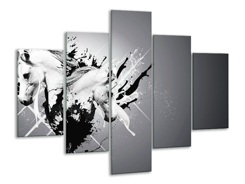 Glasschilderij Design, Paard | Zwart, Wit, Grijs | 100x70cm 5Luik
