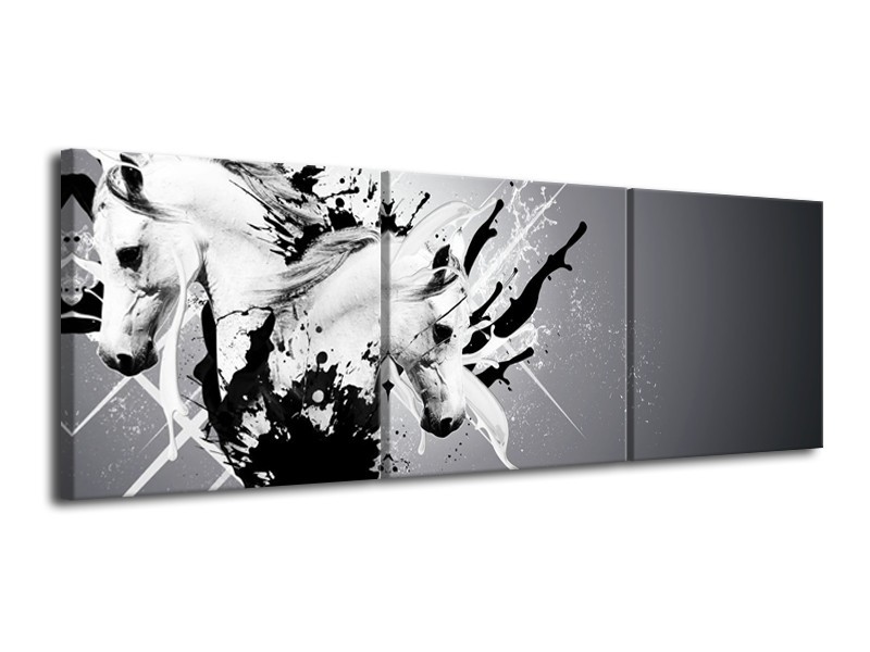 Canvas Schilderij Design, Paard | Zwart, Wit, Grijs | 120x40cm 3Luik