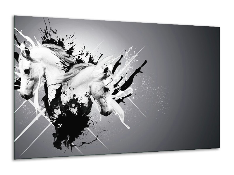 Glasschilderij Design, Paard | Zwart, Wit, Grijs | 120x70cm 1Luik