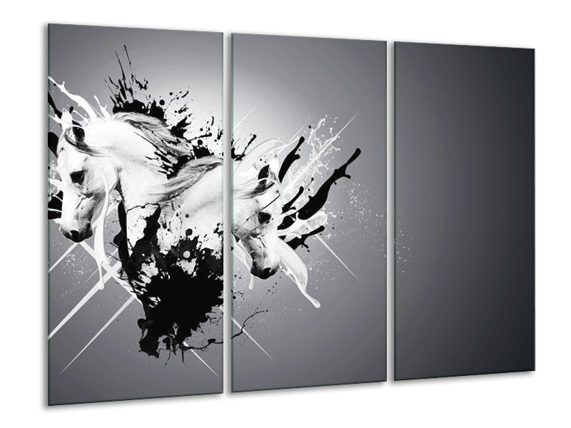 Glasschilderij Design, Paard | Zwart, Wit, Grijs | 120x80cm 3Luik