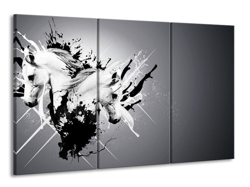Glasschilderij Design, Paard | Zwart, Wit, Grijs | 165x100cm 3Luik
