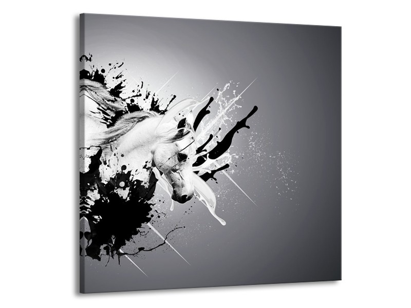 Glasschilderij Design, Paard | Zwart, Wit, Grijs | 70x70cm 1Luik