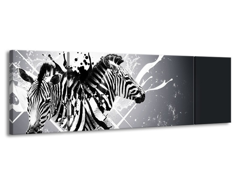 Glasschilderij Modern, Zebra | Zwart, Wit, Grijs | 170x50cm 3Luik