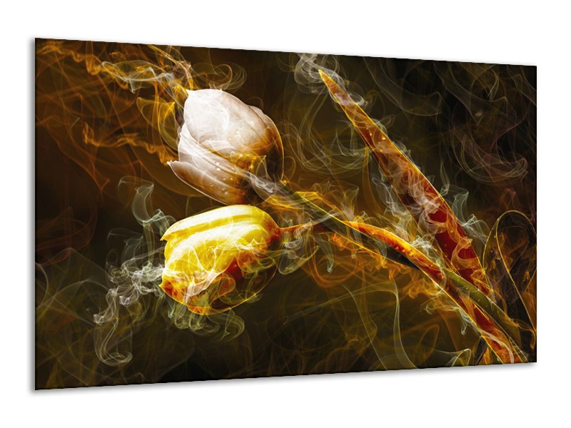 Glasschilderij Tulpen, Bloemen | Bruin, Goud, Geel | 120x70cm 1Luik
