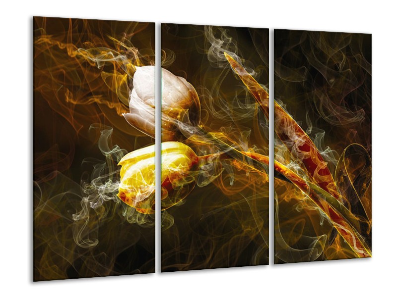 Glasschilderij Tulpen, Bloemen | Bruin, Goud, Geel | 120x80cm 3Luik