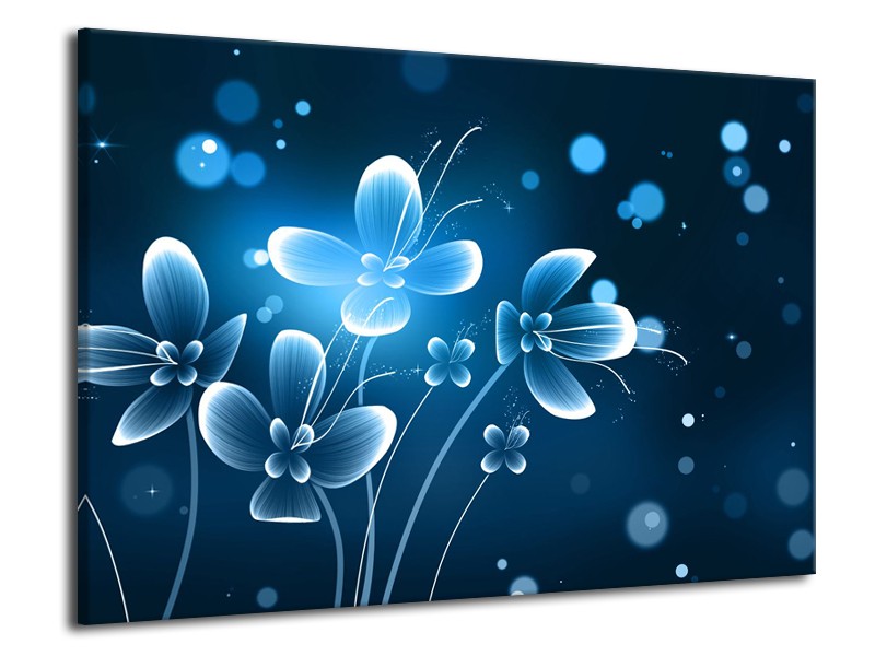 Canvas Schilderij Bloemen, Modern | Blauw, Wit | 70x50cm 1Luik