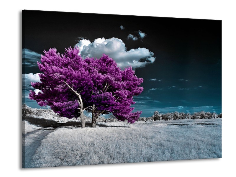 Canvas Schilderij Boom, Natuur | Paars, Blauw, Grijs | 100x70cm 1Luik