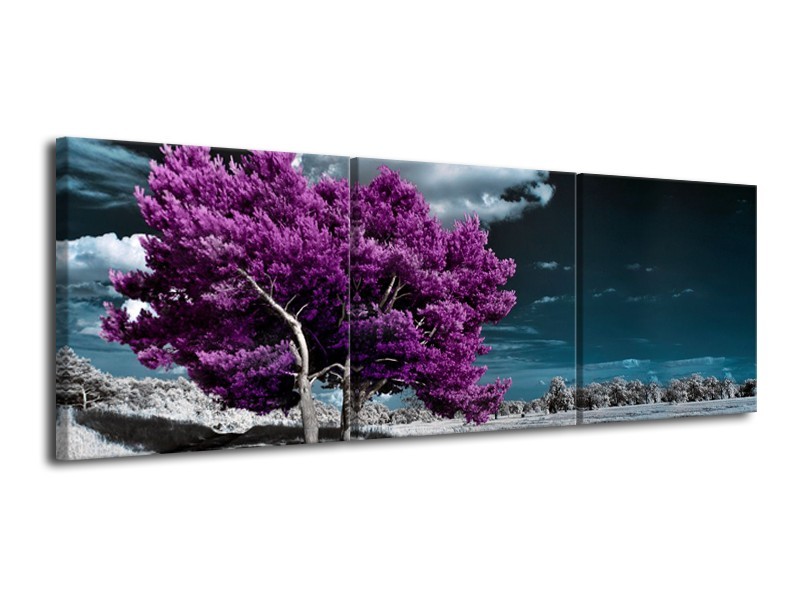 Glasschilderij Boom, Natuur | Paars, Blauw, Grijs | 120x40cm 3Luik