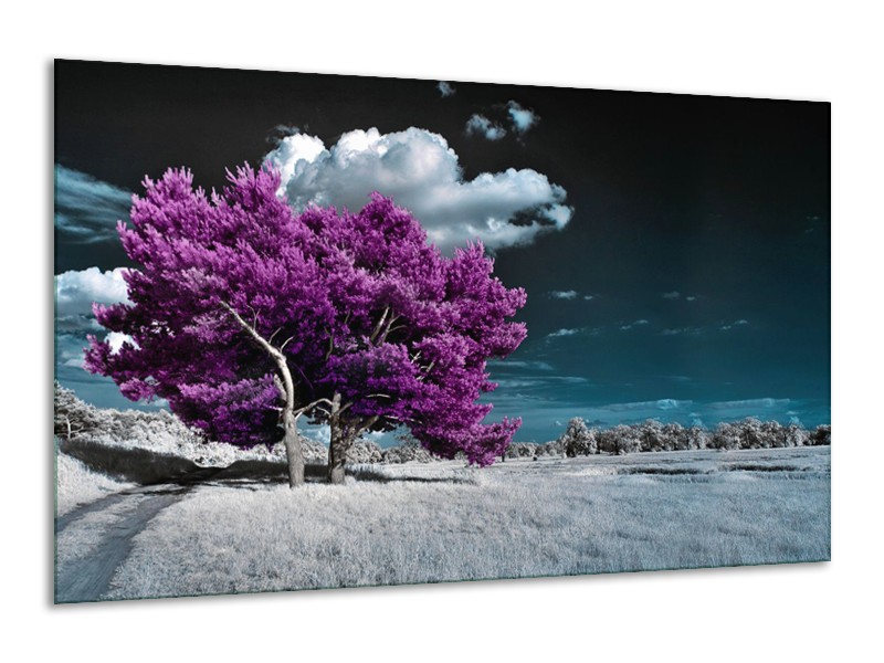 Glasschilderij Boom, Natuur | Paars, Blauw, Grijs | 120x70cm 1Luik