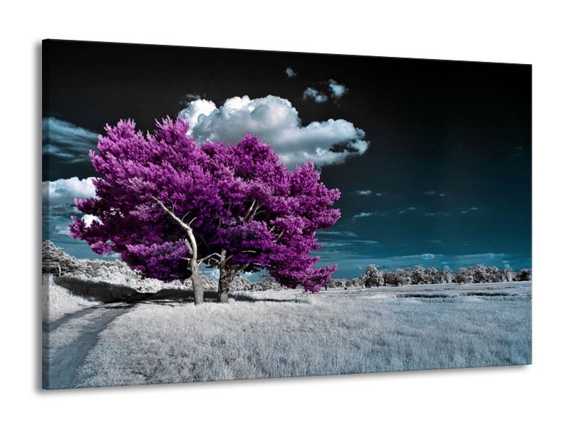 Canvas Schilderij Boom, Natuur | Paars, Blauw, Grijs | 140x90cm 1Luik