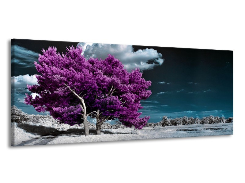 Glasschilderij Boom, Natuur | Paars, Blauw, Grijs | 145x58cm 1Luik