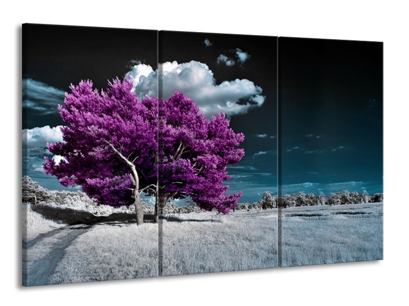 Glasschilderij Boom, Natuur | Paars, Blauw, Grijs | 165x100cm 3Luik