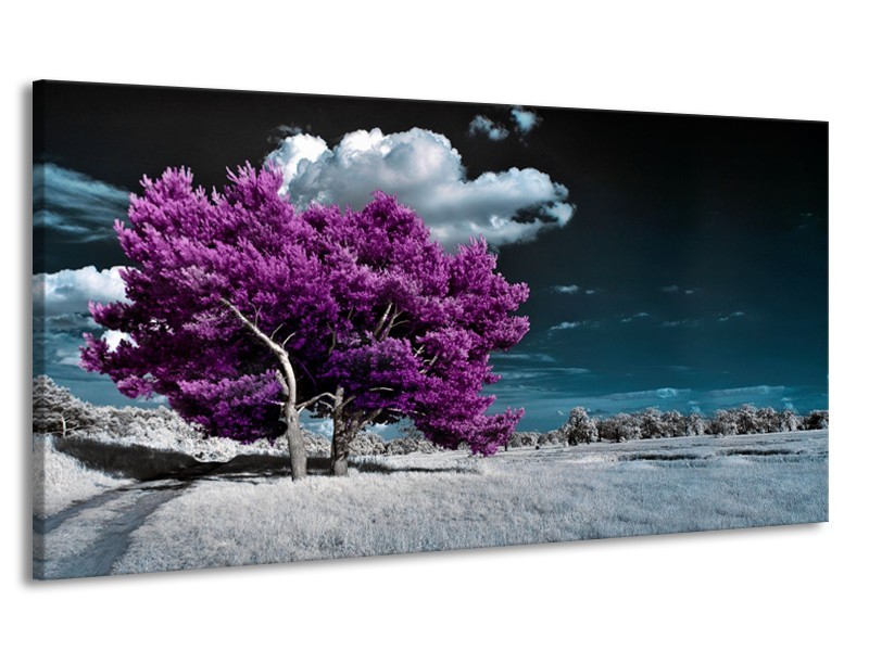 Canvas Schilderij Boom, Natuur | Paars, Blauw, Grijs | 170x90cm 1Luik