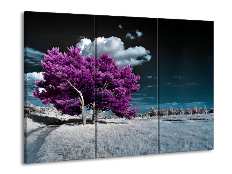 Glasschilderij Boom, Natuur | Paars, Blauw, Grijs | 60x90cm 3Luik