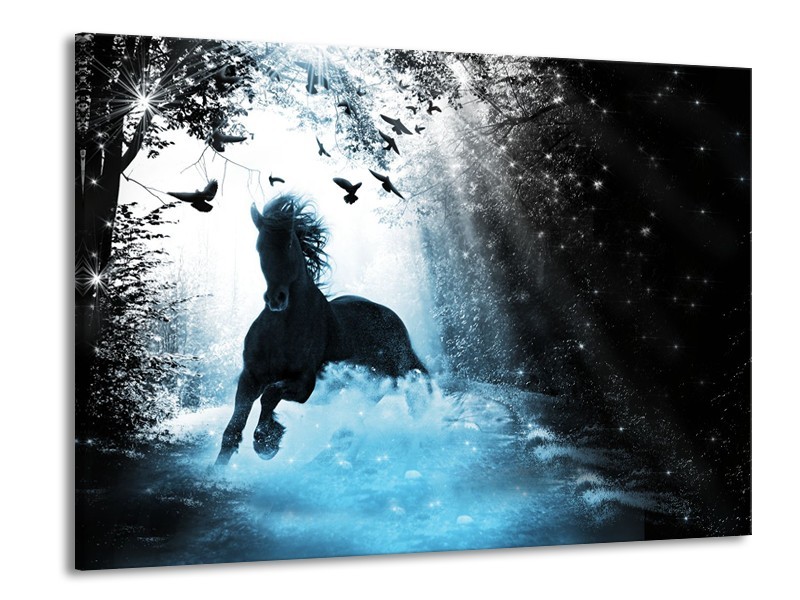 Canvas Schilderij Paard, Modern | Blauw, Zwart, Wit | 100x70cm 1Luik