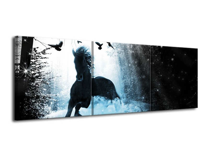 Glasschilderij Paard, Modern | Blauw, Zwart, Wit | 120x40cm 3Luik