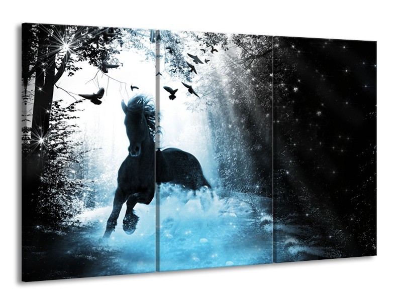 Glasschilderij Paard, Modern | Blauw, Zwart, Wit | 165x100cm 3Luik