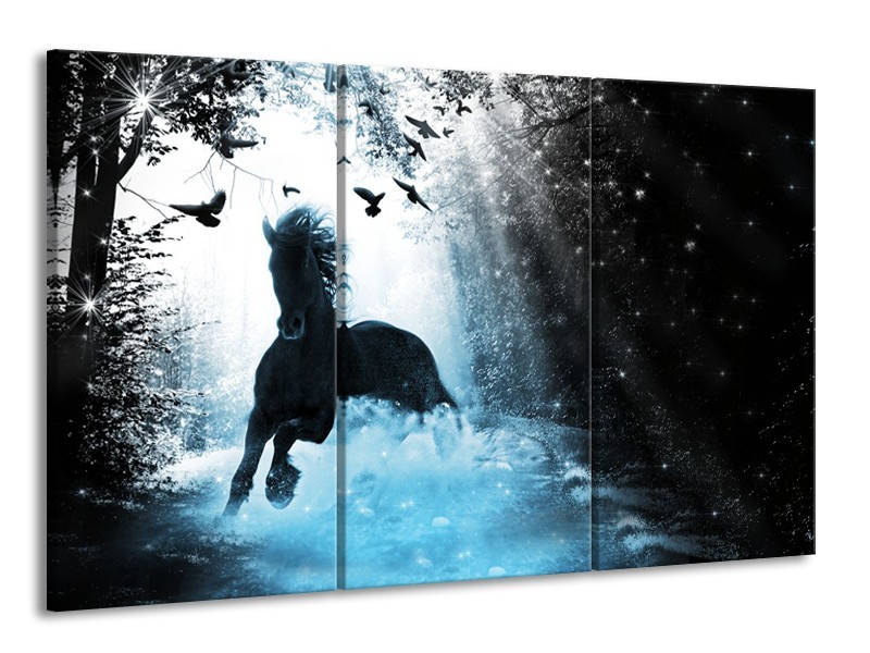 Canvas Schilderij Paard, Modern | Blauw, Zwart, Wit | 165x100cm 3Luik