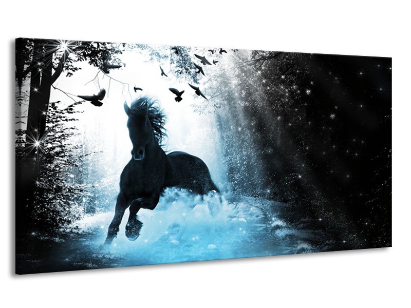 Canvas Schilderij Paard, Modern | Blauw, Zwart, Wit | 170x90cm 1Luik