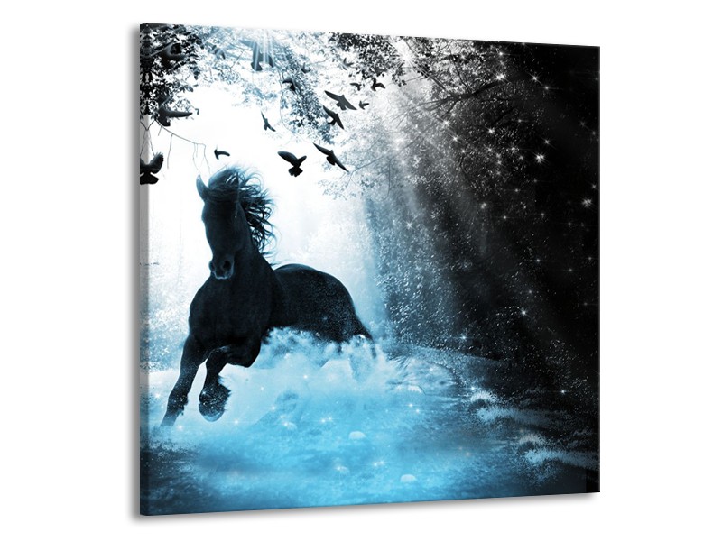 Canvas Schilderij Paard, Modern | Blauw, Zwart, Wit | 50x50cm 1Luik