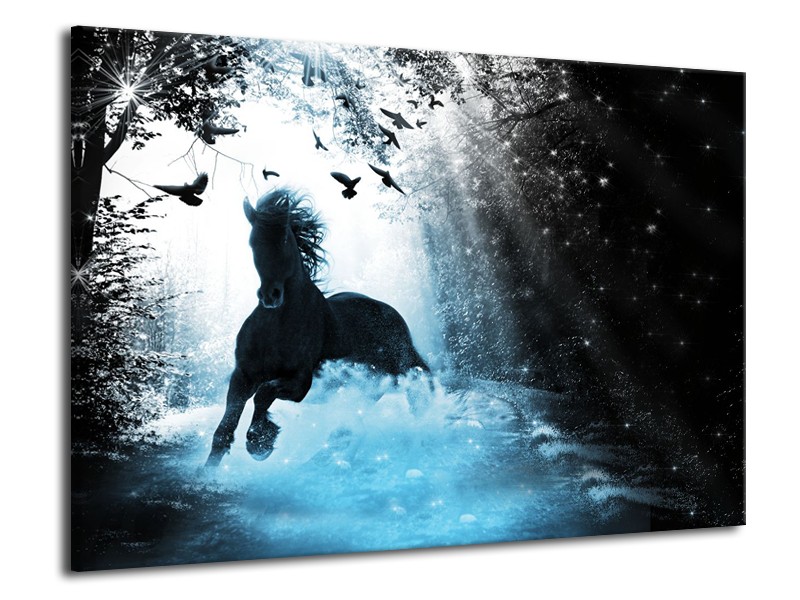 Glasschilderij Paard, Modern | Blauw, Zwart, Wit | 70x50cm 1Luik