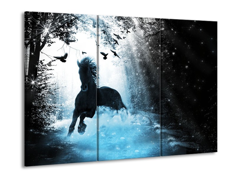 Glasschilderij Paard, Modern | Blauw, Zwart, Wit | 60x90cm 3Luik