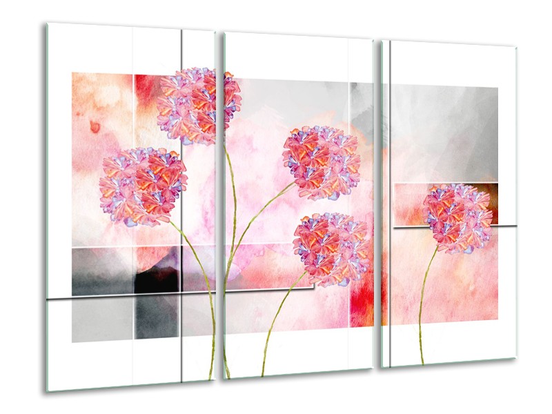 Glasschilderij Modern, Bloemen | Grijs, Roze | 120x80cm 3Luik