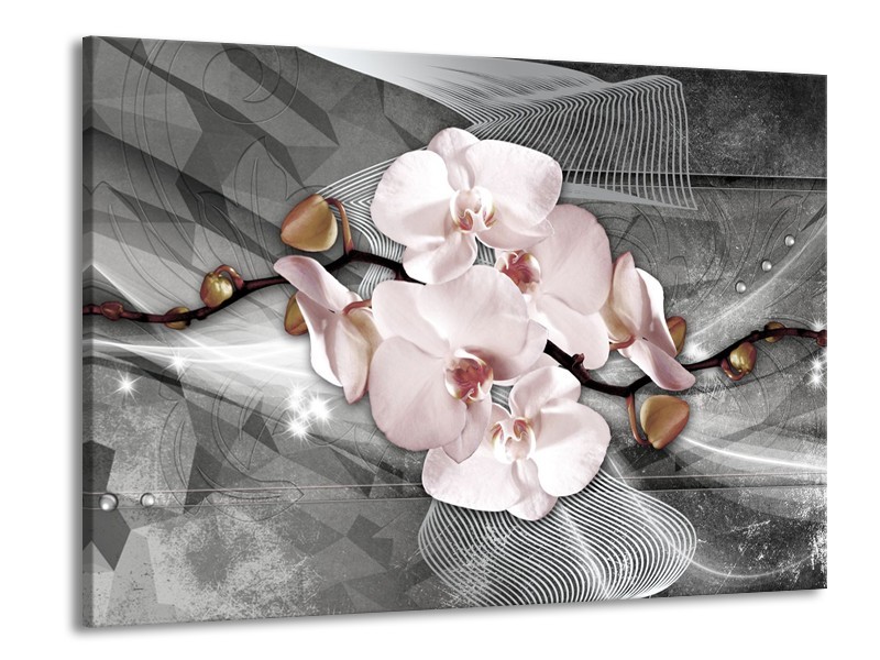 Glasschilderij Orchidee, Bloemen | Grijs | 100x70cm 1Luik