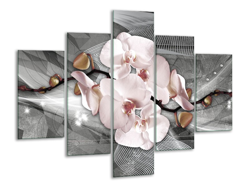 Glasschilderij Orchidee, Bloemen | Grijs | 100x70cm 5Luik