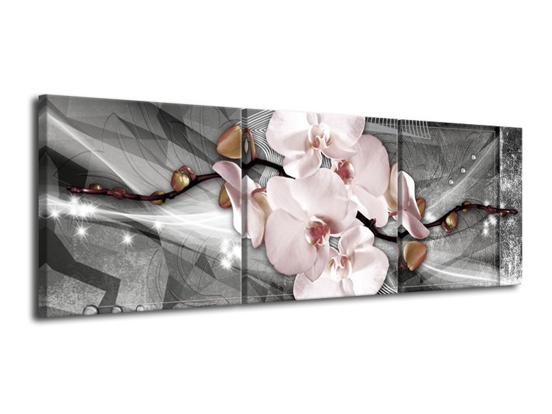 Glasschilderij Orchidee, Bloemen | Grijs | 120x40cm 3Luik